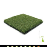 Prograss Approach Plus
