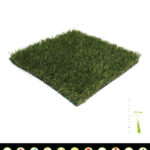 Natural Intensions 30 X