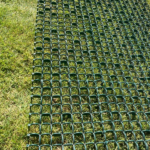 ArcoGrass