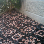 GeoWaveFlower